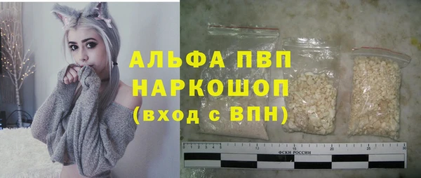 дмт Бородино