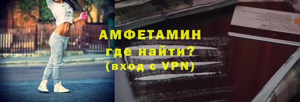 дмт Бородино
