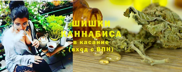 дмт Бородино