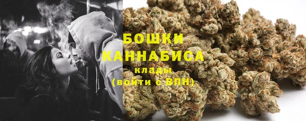 мдпв Бугульма