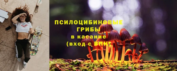 круглые Семёнов